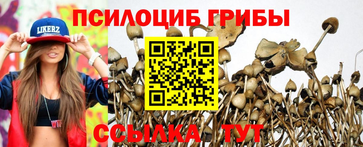 Псилоцибиновые грибы прущие грибы  Вход с VPN  Сибай 